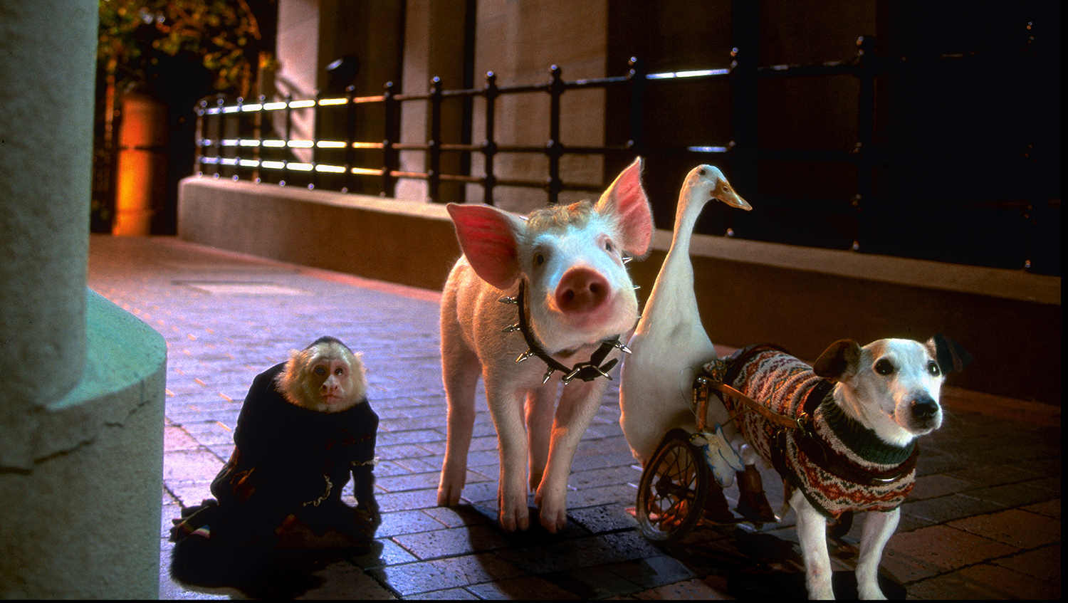 Babe: Pig in the City | Music Box Theatre