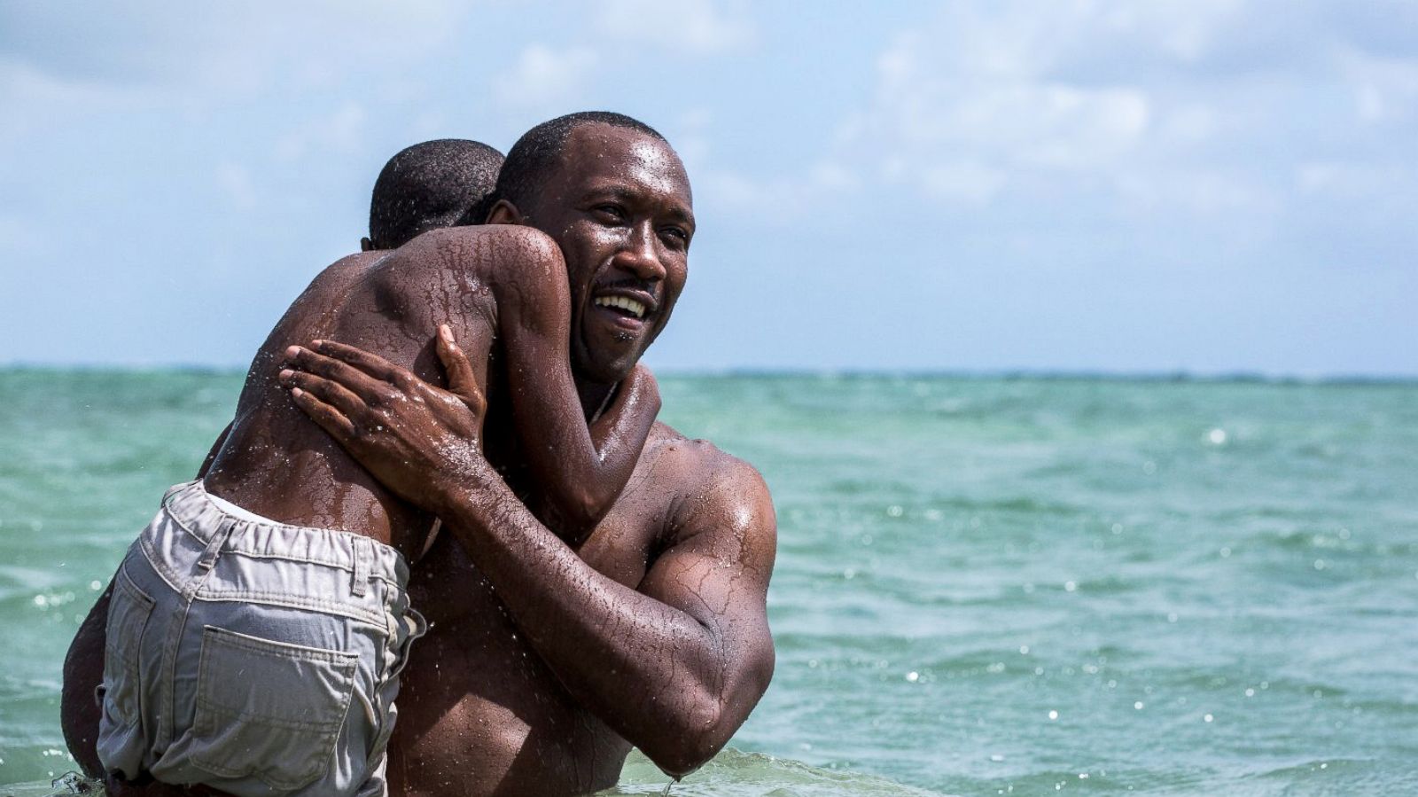 Moonlight | Music Box Theatre