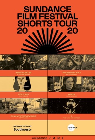 Poster for 2020 Sundance Film Festival Shorts