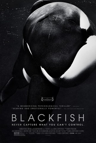 Poster for Blackfish