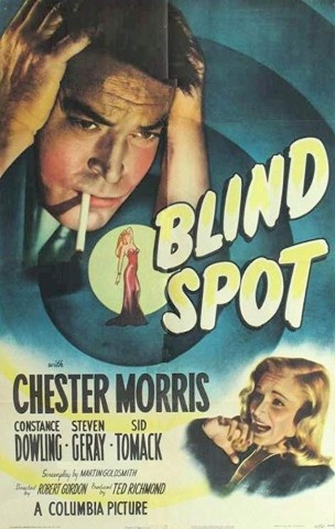 Poster for Blind Spot