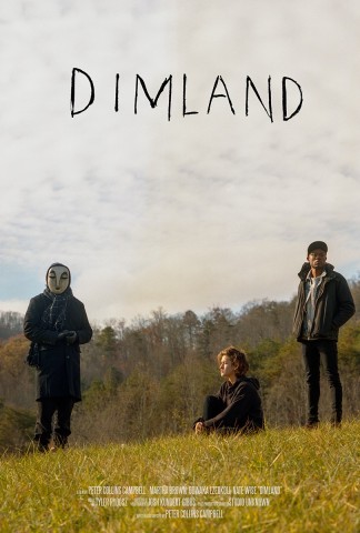 Poster for DimLand