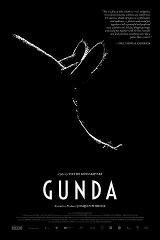 Poster for Gunda