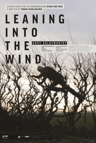 Poster for Leaning into the Wind