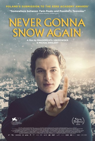 Poster for Never Gonna Snow Again