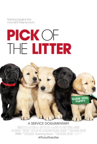 Poster for Pick of the Litter