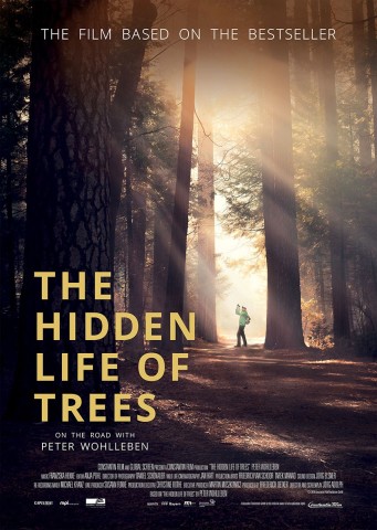 Poster for The Hidden Life of Trees