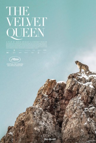 Poster for The Velvet Queen