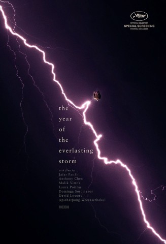 Poster for The Year of the Everlasting Storm