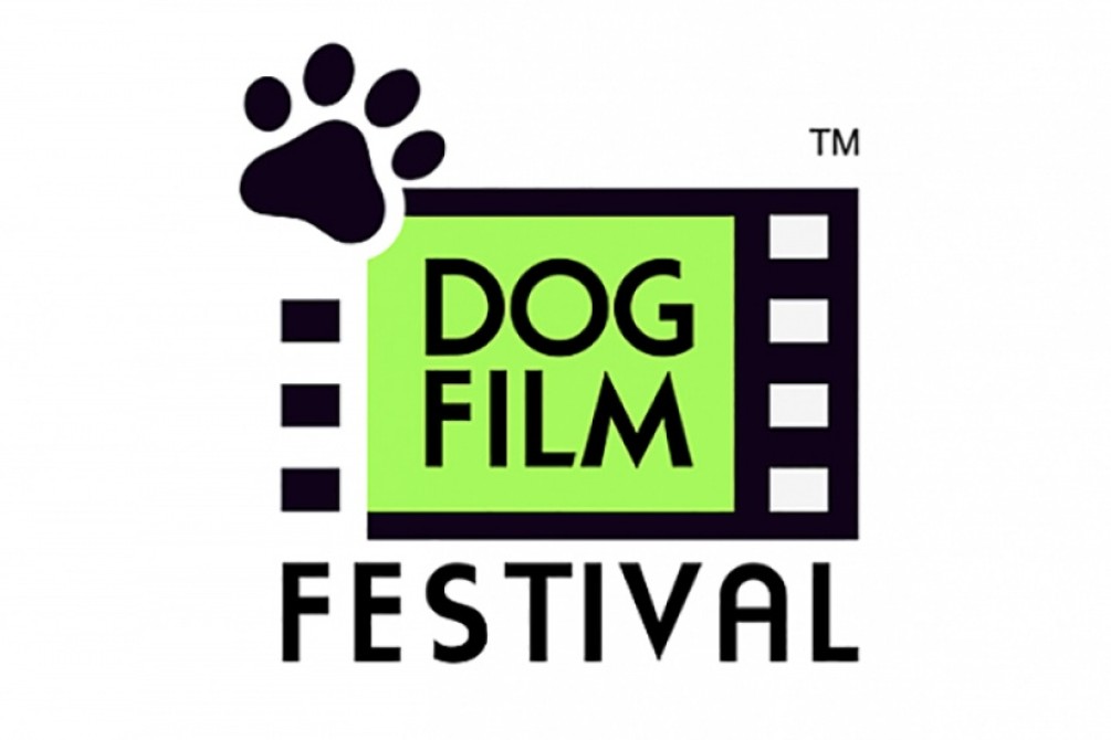 Dog Film Festival: Who Rescued Whom? movie still