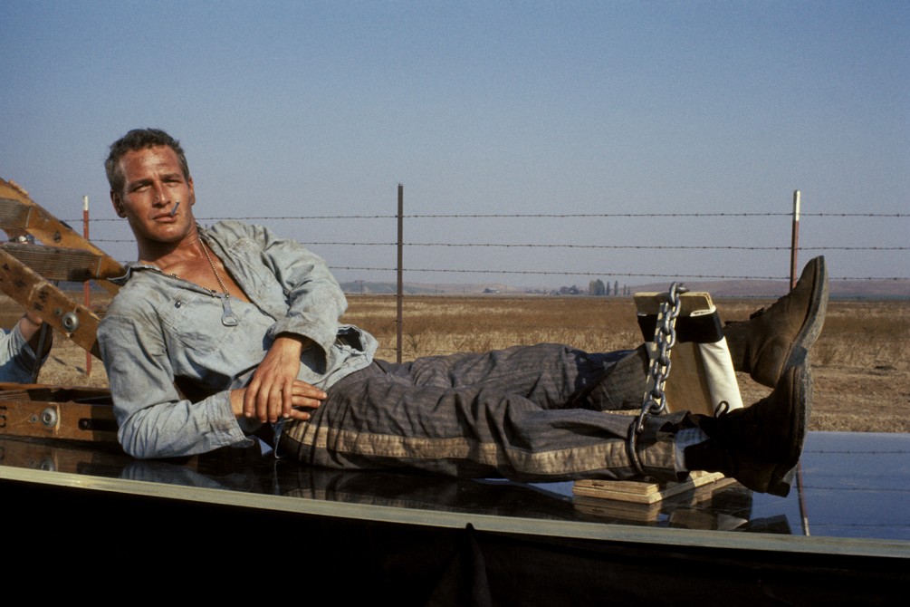 Cool Hand Luke