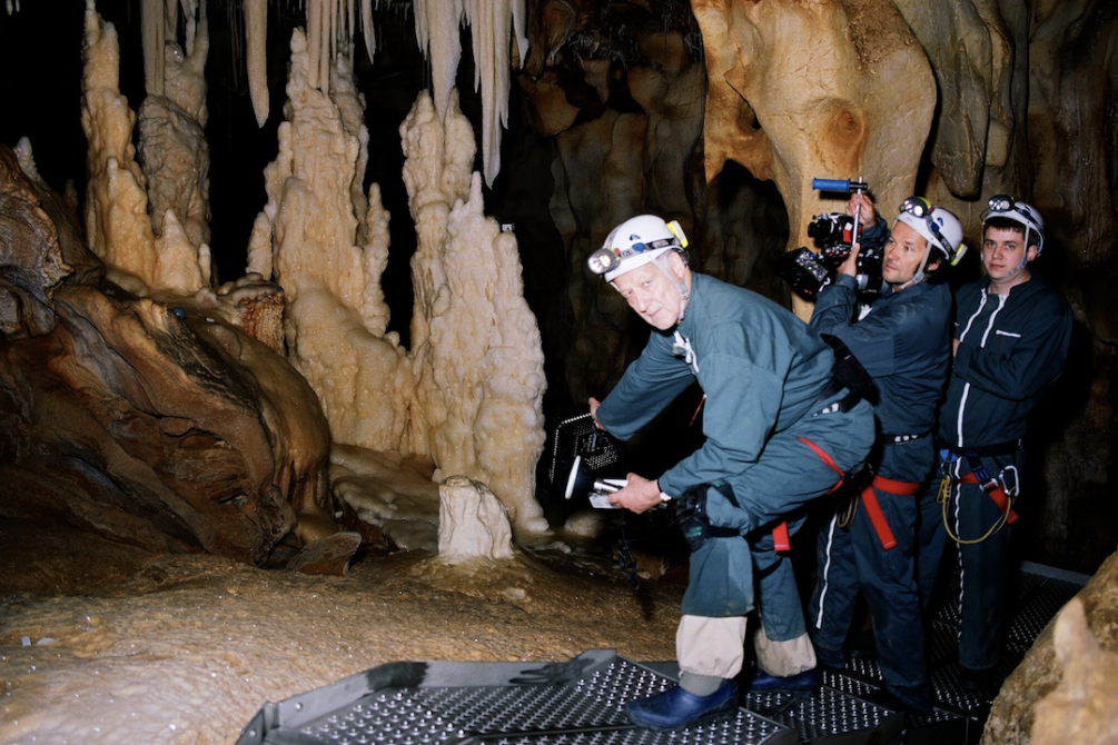 Cave of Forgotten Dreams