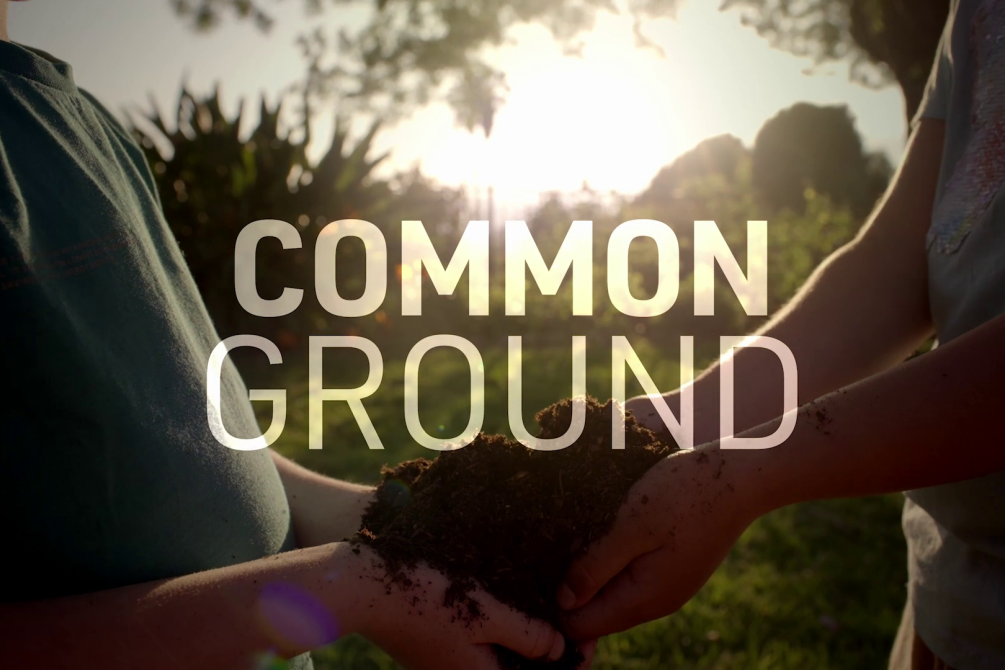 Common Ground common-ground