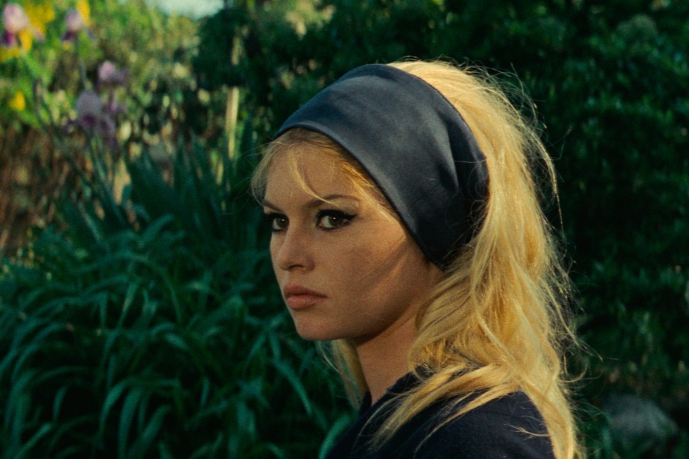 Contempt