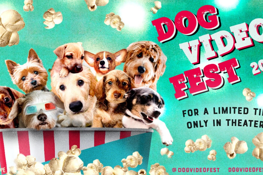 Dogvideofest