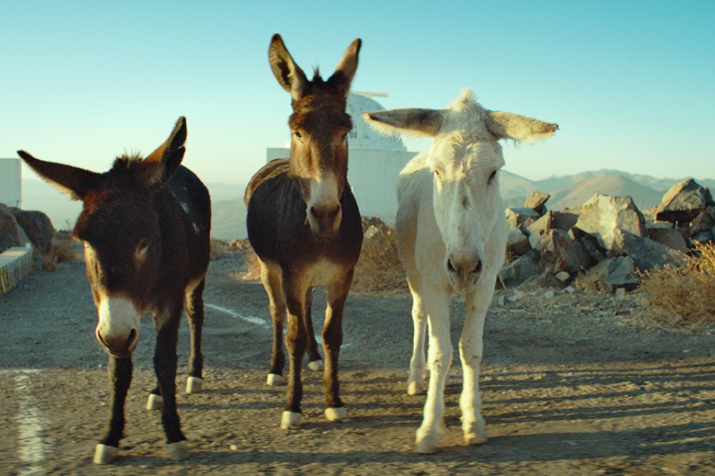 Perfectly a Strangeness