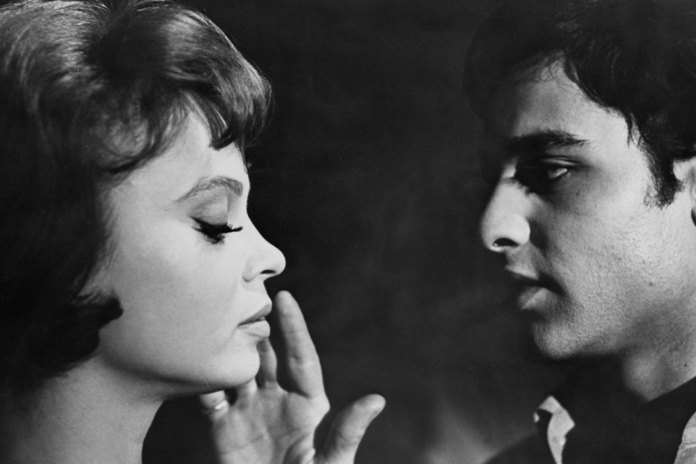 Who Killed Teddy Bear