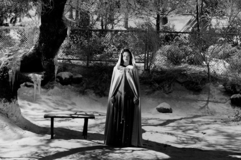 The Curse of the Cat People