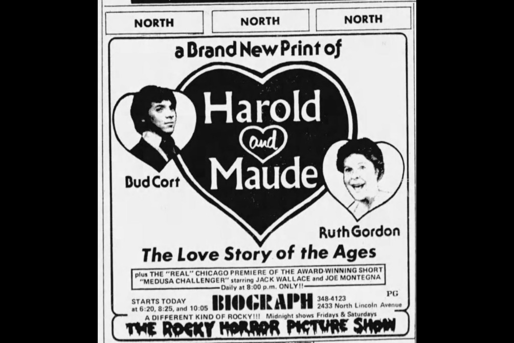 Harold and Maude movie still