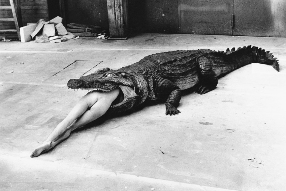 Helmut Newton: The Bad and the Beautiful movie still