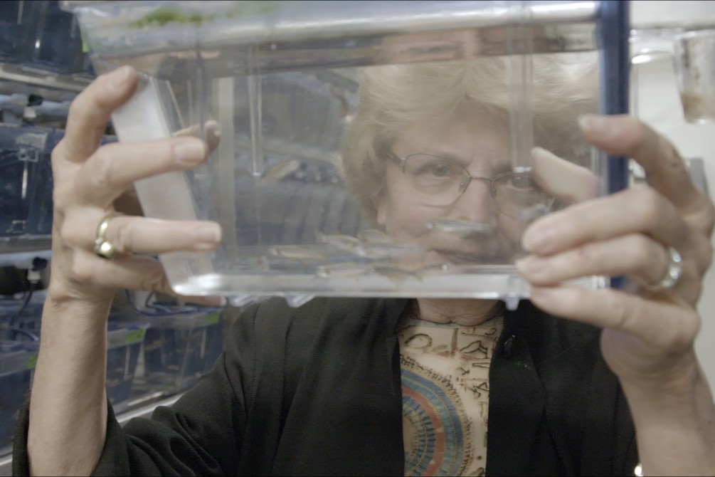 Picture a Scientist movie still