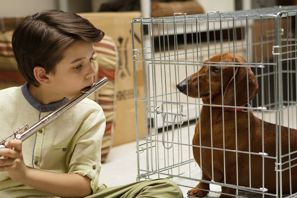 Wiener-Dog movie still